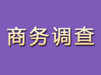 红安商务调查